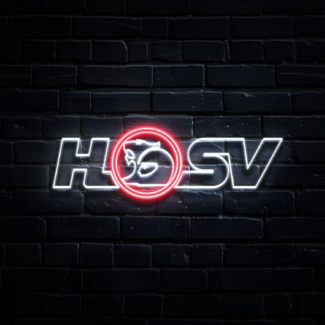 HSV Neon Wall Light