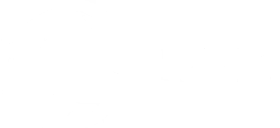 Holden Store